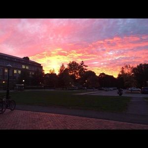 Meet your Posher, Olivia