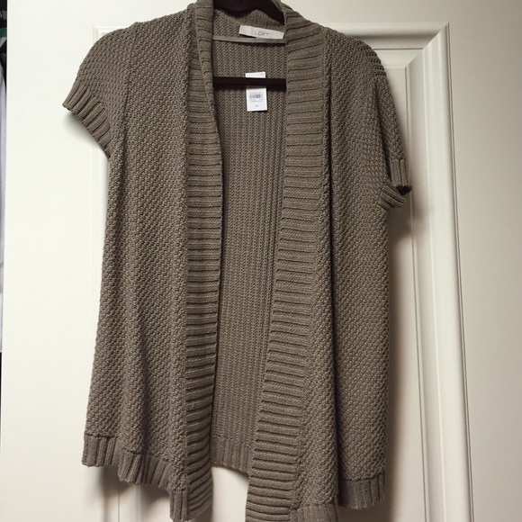 Ann Taylor Loft sweater