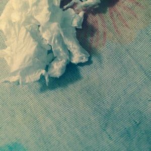 Meet your Posher, Ramona