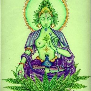 Meet your Posher, Carlos