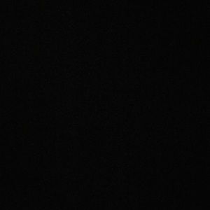 Meet your Posher, Alanis