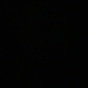 Meet your Posher, Priscilla