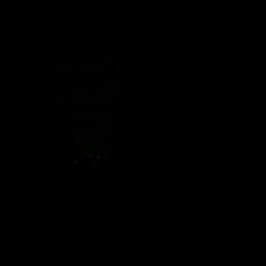 Meet your Posher, Malik