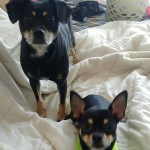 Meet your Posher, Lilly