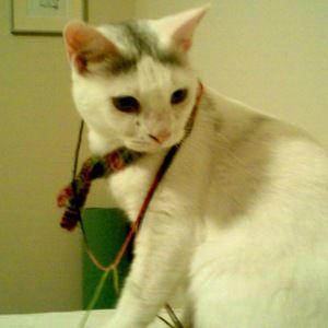 Meet your Posher, Jeewon