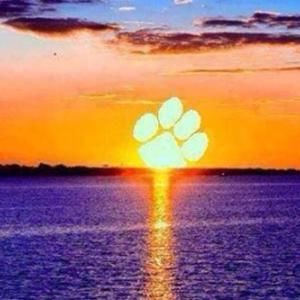 Meet your Posher, Chere'