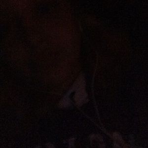 Meet your Posher, Sue