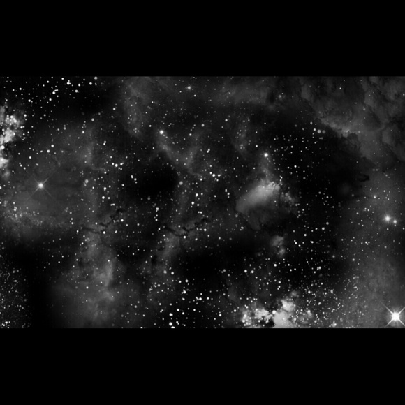 Meet your Posher, Kate - Picture 1 of 1