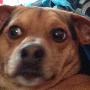 Meet your Posher, Christopher