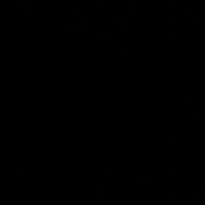 Meet your Posher, Kirsten