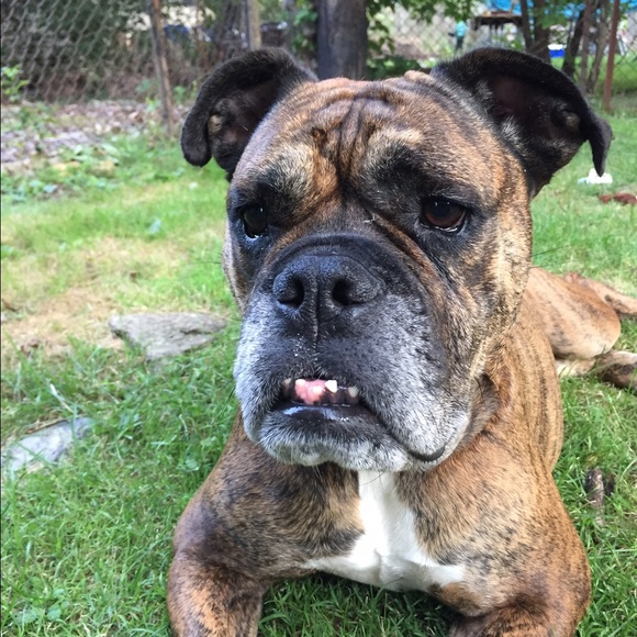 Meet your Posher, Nicole - Picture 1 of 1