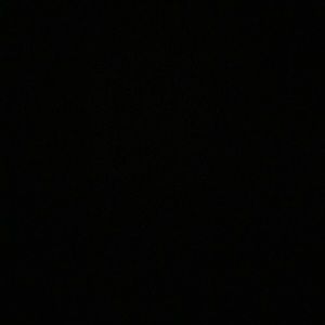 Meet your Posher, Riley