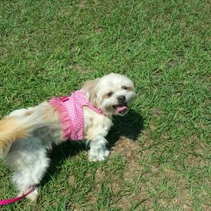 Meet your Posher, Robin