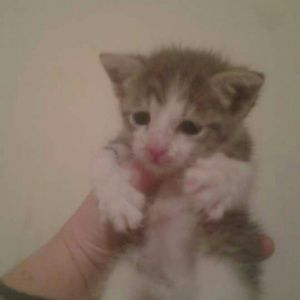 Meet your Posher, Kendra