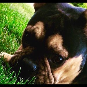 Meet your Posher, Kathy