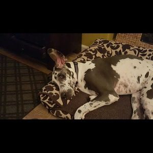 Meet your Posher, Stacey