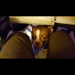 Meet your Posher, Irene