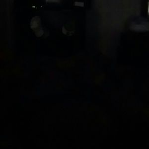 Meet your Posher, Tierra