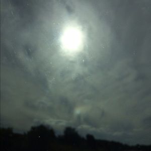 Meet your Posher, Lorrie