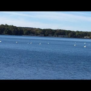 Meet your Posher, Cheri