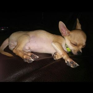 Meet your Posher, Alicia