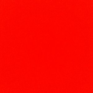 Meet your Posher, Lidiya