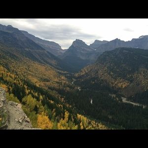 Meet your Posher, Tara