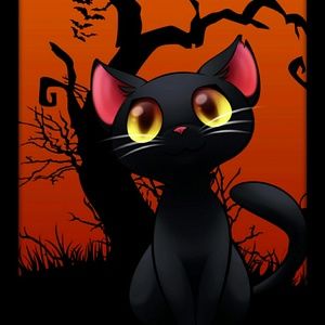 Meet your Posher, Jodie