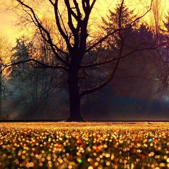 Meet your Posher, Noemi