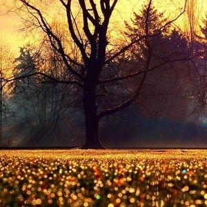 Meet your Posher, Noemi