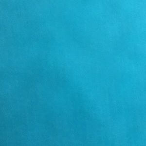 Meet your Posher, Kalisha