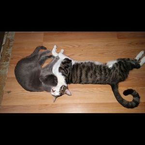 Meet your Posher, Briana