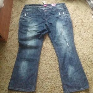 NWT! Distressed Jeans