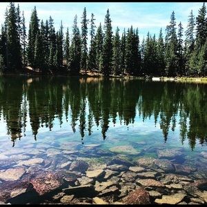 Meet your Posher, Mia