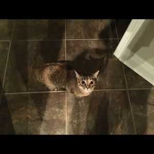 Meet your Posher, Janice