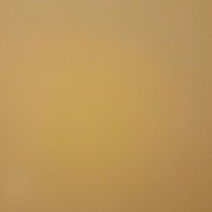 Meet your Posher, Jeannie