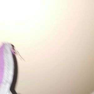 Meet your Posher, Inail