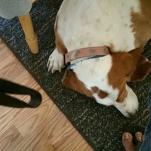 Meet your Posher, Mondee