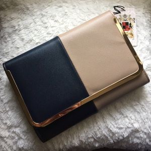 Navy and nude clutch/purse with gold details