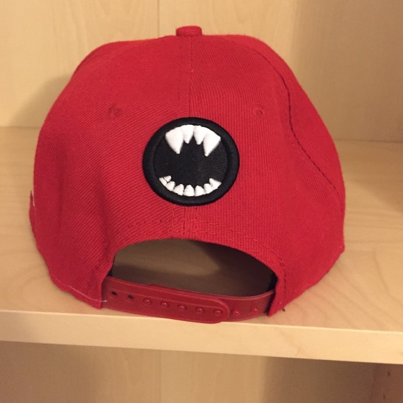 SnapBack - Picture 3 of 4