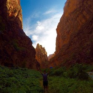 Meet your Posher, Robert