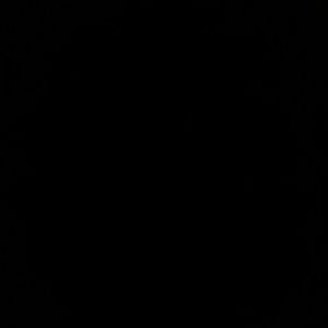 Meet your Posher, Terrica