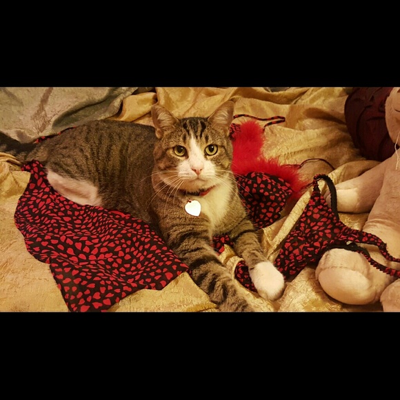 VALENTIN FANTASY  Night Wear - Picture 3 of 4