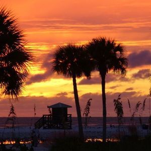 Meet your Posher, Jen