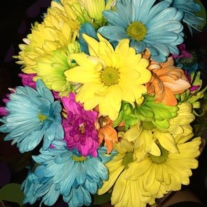 Meet your Posher, Brenna