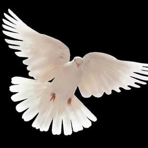 Meet your Posher, Christian