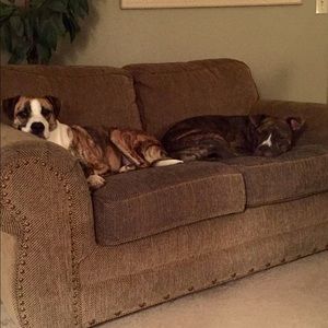 Meet your Posher, Judy