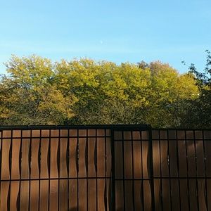 Meet your Posher, Shaleni