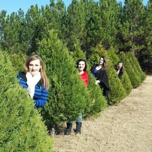 Meet your Posher, Candie