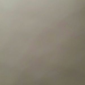 Meet your Posher, Fabiola